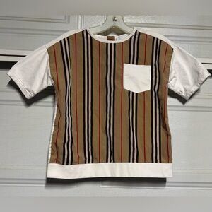 Burberry Multicolor Striped Shirt